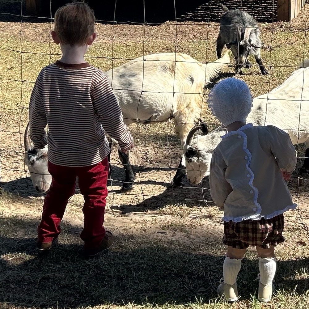 Meet your Posher, Jess